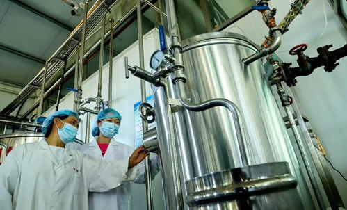 你的三伏天小 杏 福來嘍 張掖甘州消暑產(chǎn)品俏銷全國鳳凰網(wǎng)甘肅 鳳凰網(wǎng)